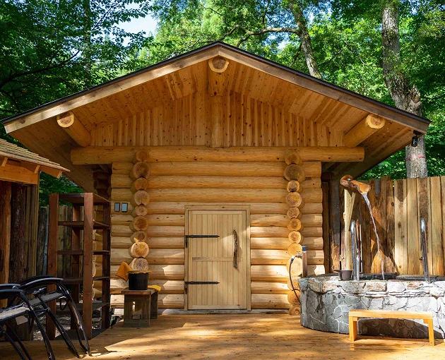 The Sauna
